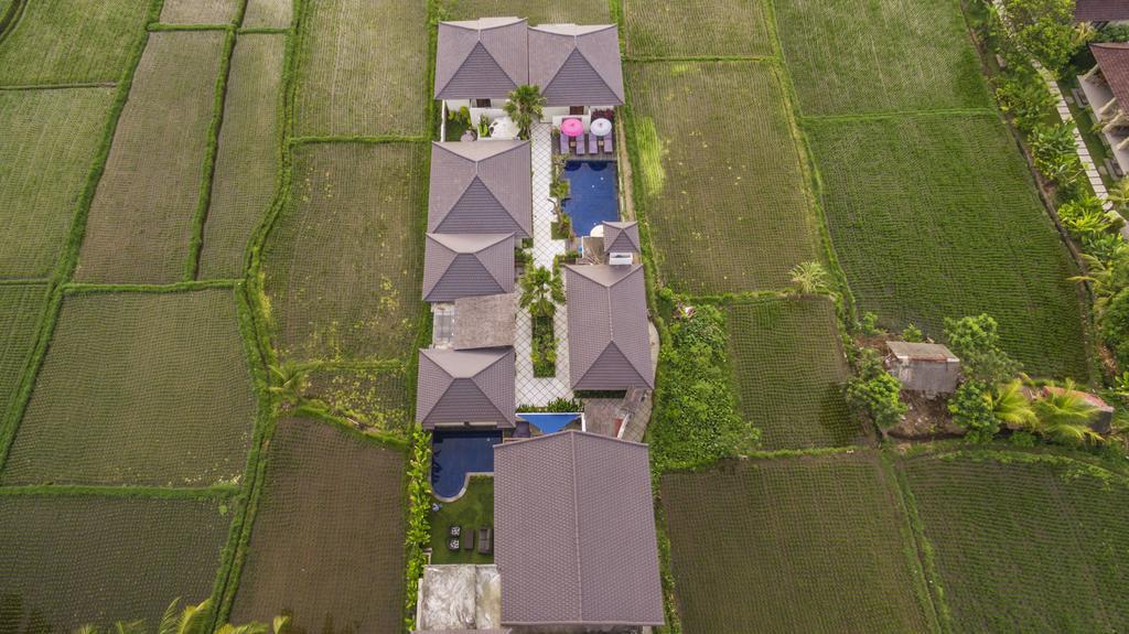 Solo Villas & Retreat Ουμπούντ Εξωτερικό φωτογραφία